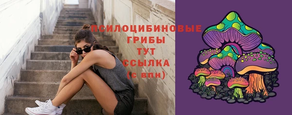 гидропоника Каменногорск