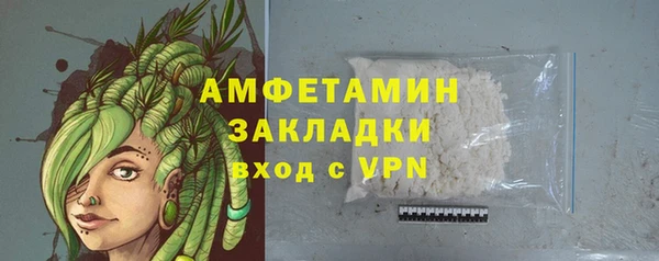 молекула духа Каменка