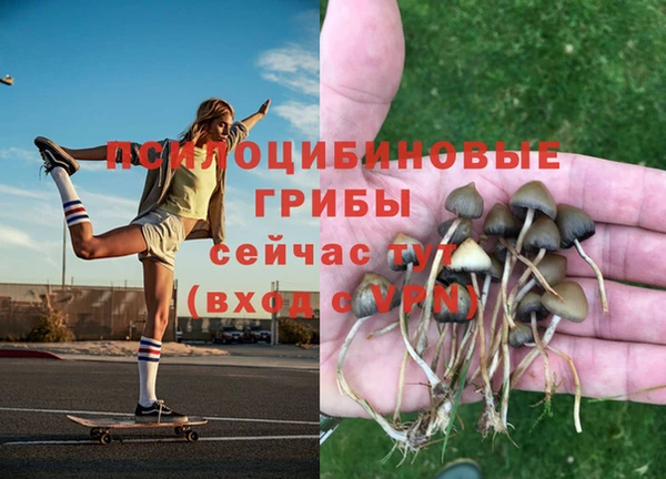 молекула духа Каменка
