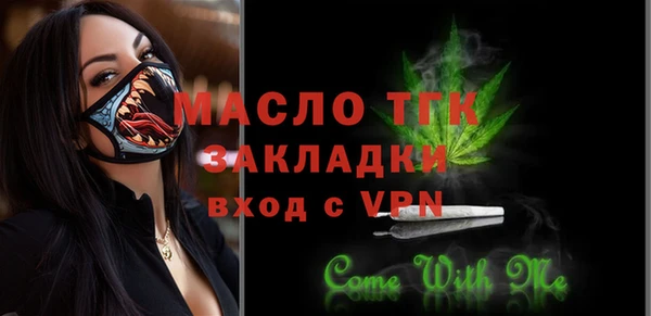 молекула духа Каменка