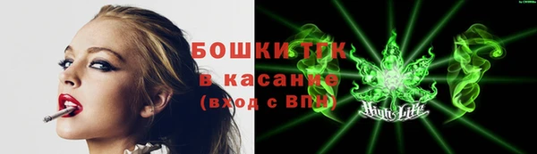 молекула духа Каменка