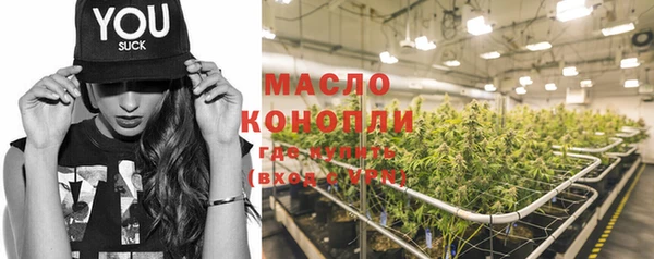 молекула духа Каменка