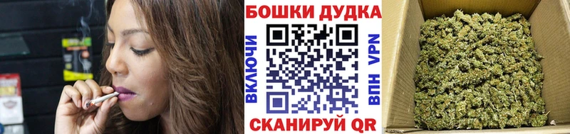 Бошки Шишки гибрид Реж